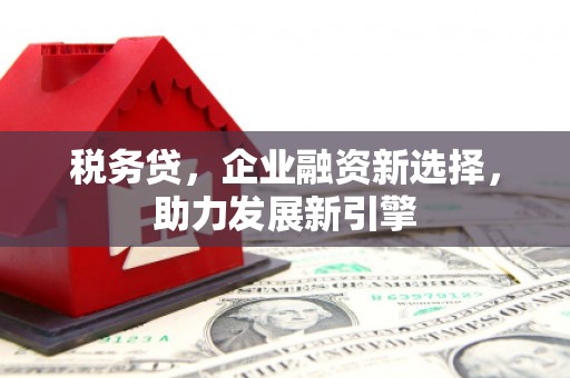 武穴税务贷，企业融资新选择，助力发展新引擎