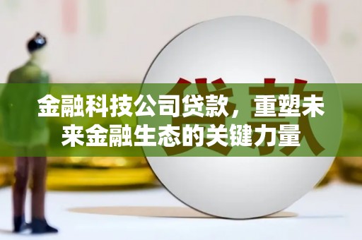 武穴金融科技公司贷款，重塑未来金融生态的关键力量