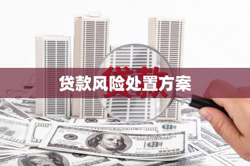 武穴贷款风险处置方案