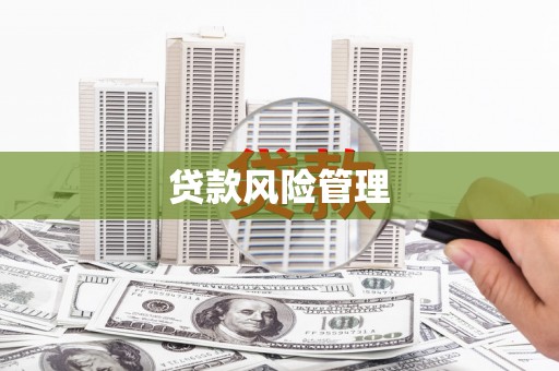 武穴贷款风险管理