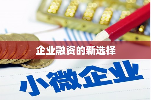 武穴企业融资的新选择
