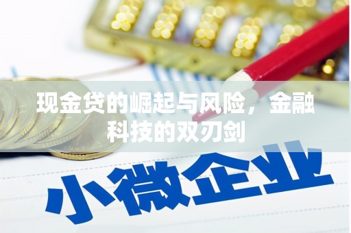 武穴现金贷的崛起与风险，金融科技的双刃剑