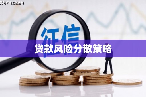 武穴贷款风险分散策略