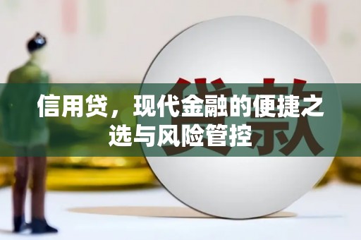 武穴信用贷，现代金融的便捷之选与风险管控
