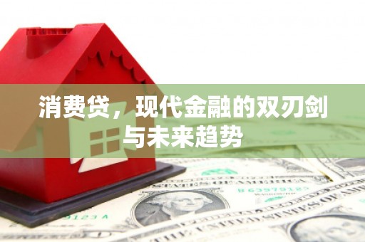 武穴消费贷，现代金融的双刃剑与未来趋势