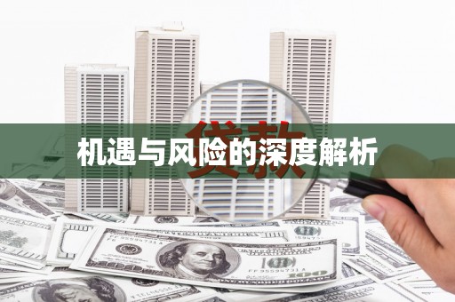 武穴机遇与风险的深度解析