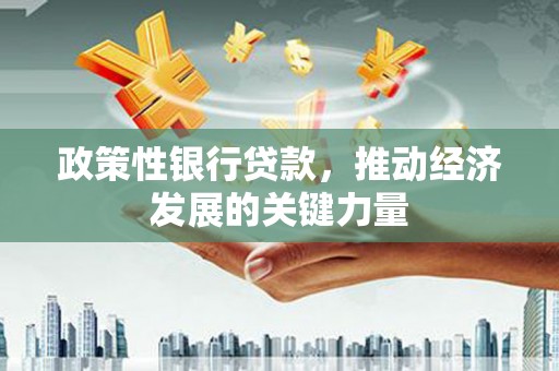 武穴政策性银行贷款，推动经济发展的关键力量