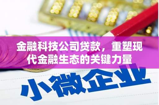 武穴金融科技公司贷款，重塑现代金融生态的关键力量