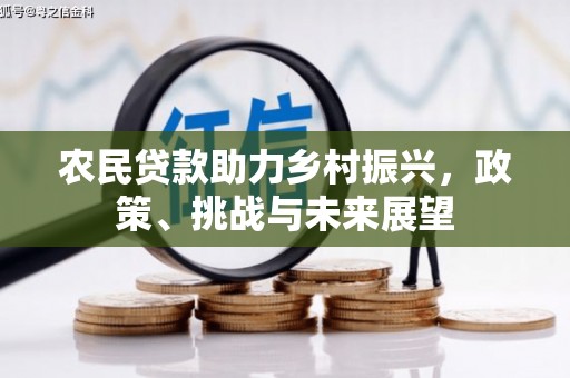 武穴农民贷款助力乡村振兴，政策、挑战与未来展望