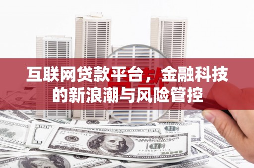 武穴互联网贷款平台，金融科技的新浪潮与风险管控