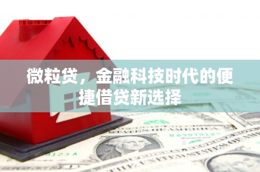 武穴微粒贷，金融科技时代的便捷借贷新选择