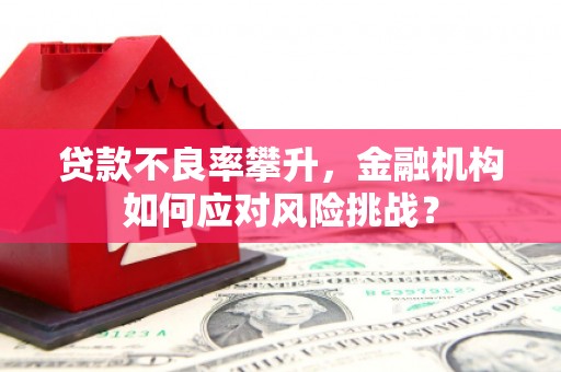 武穴贷款不良率攀升，金融机构如何应对风险挑战？