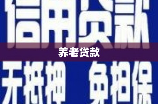 武穴养老贷款