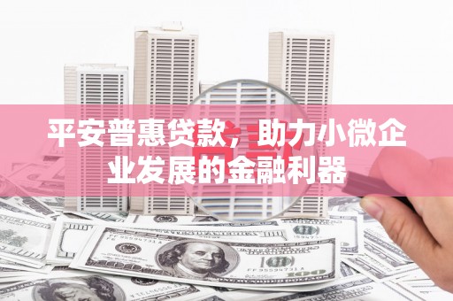 武穴平安普惠贷款，助力小微企业发展的金融利器