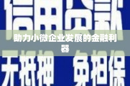 武穴助力小微企业发展的金融利器