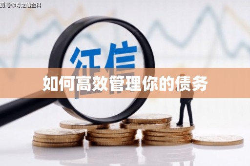 武穴如何高效管理你的债务