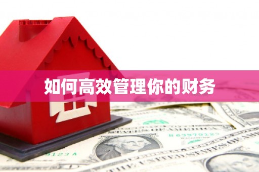 武穴如何高效管理你的财务