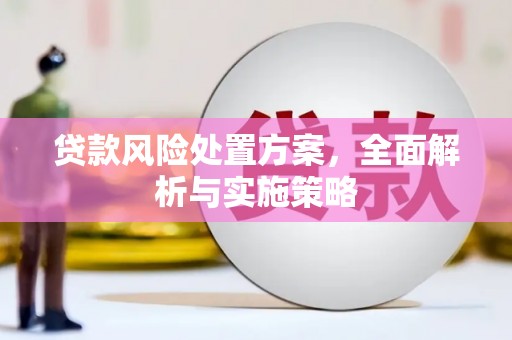 武穴贷款风险处置方案，全面解析与实施策略