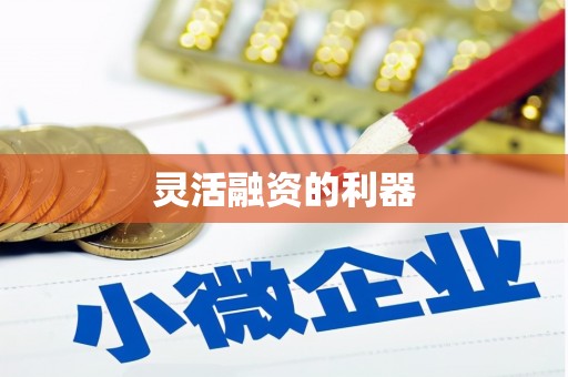 武穴灵活融资的利器