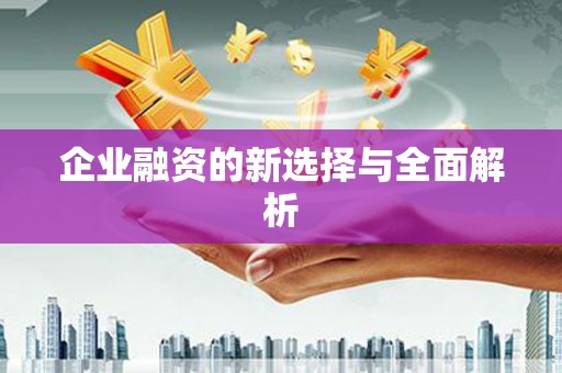 武穴企业融资的新选择与全面解析